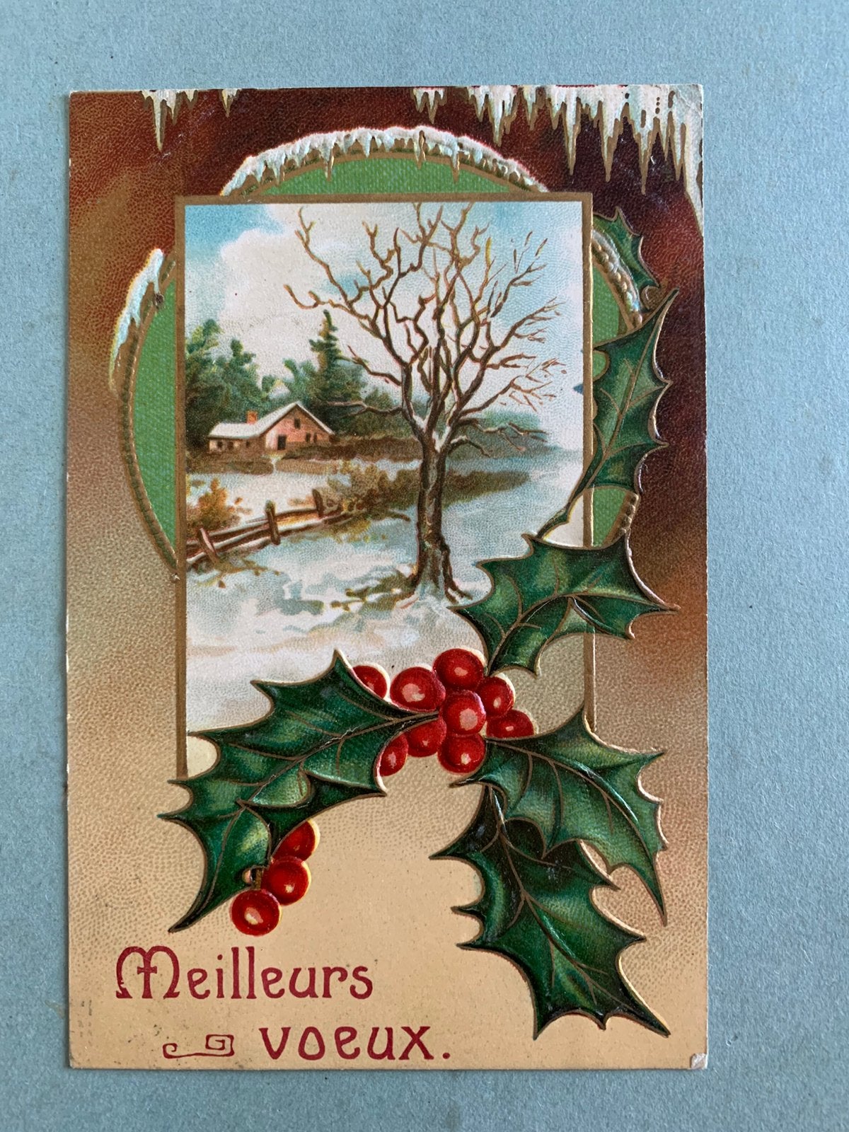 1908 Meilleurs Voeux - reliëf, Ophalen of Verzenden, Voor 1920, Gelopen, Feest(dag)