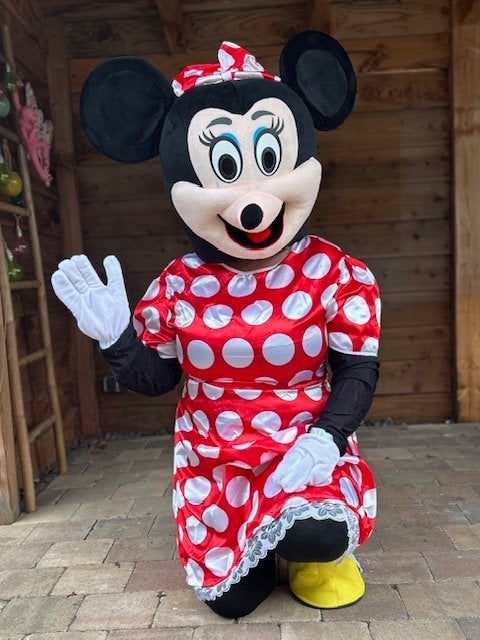 Te huur Mickey en Minnie samen 55 euro pst 30 euro enz enz, Ophalen of Verzenden, Nieuw, Abraham of Sarah