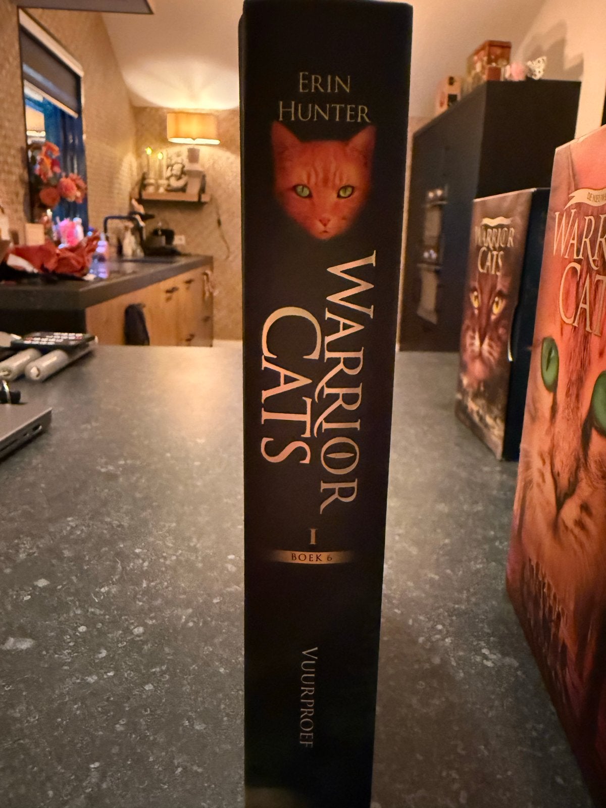 Warrior Cats Boek 6: Vuurproef - Erin Hunter, Ophalen of Verzenden, Zo goed als nieuw, Fictie