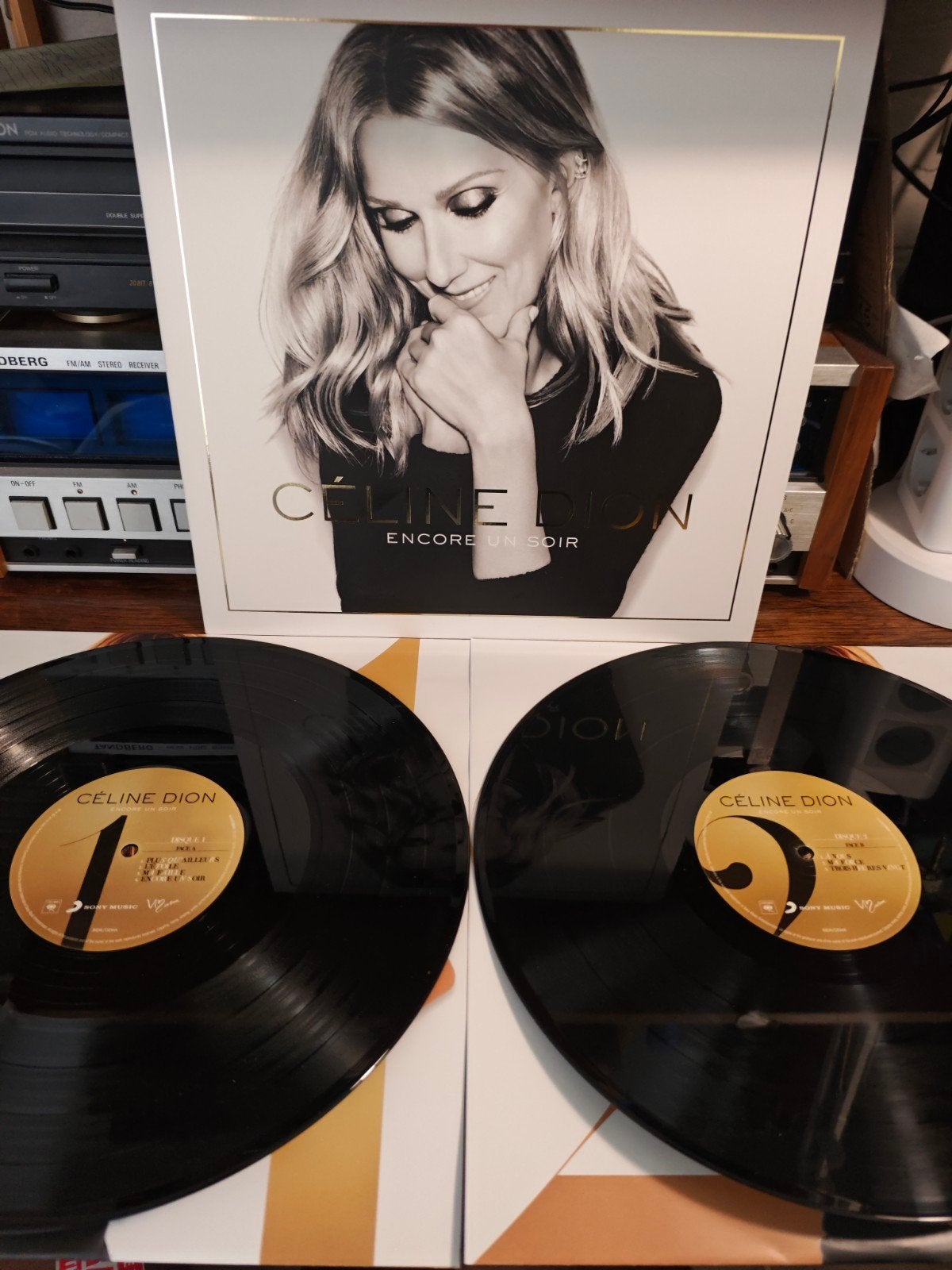 Céline Dion - Encore un soir (Dubbel LP), Ophalen of Verzenden, 12 inch, Dubbel-LP, Dubbel-LP