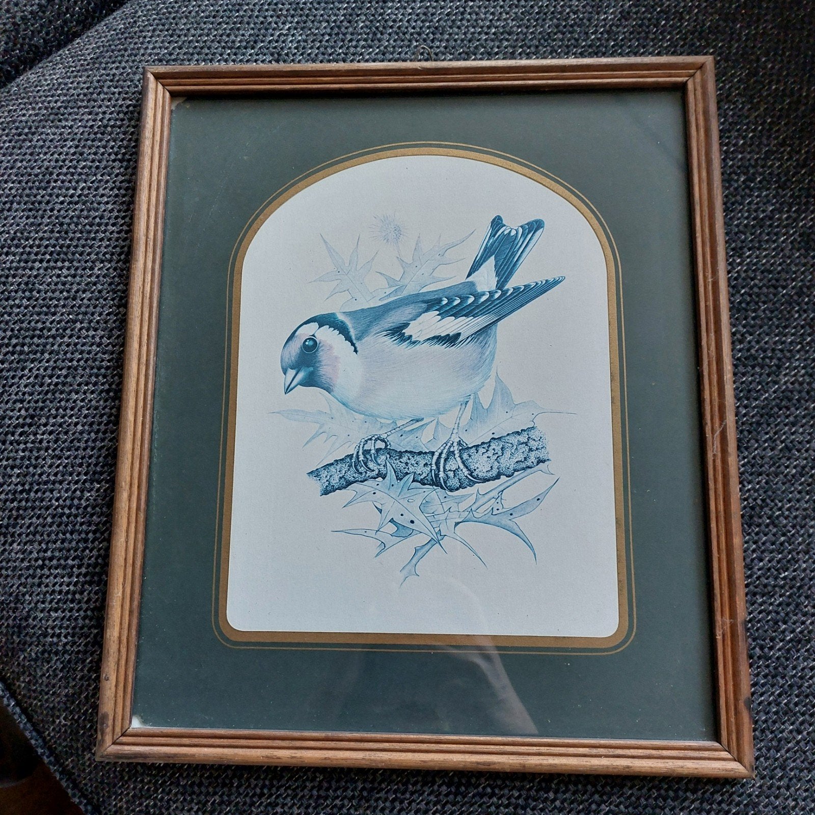 Vintage ingelijste vogelprint - Distelvink, Ophalen of Verzenden