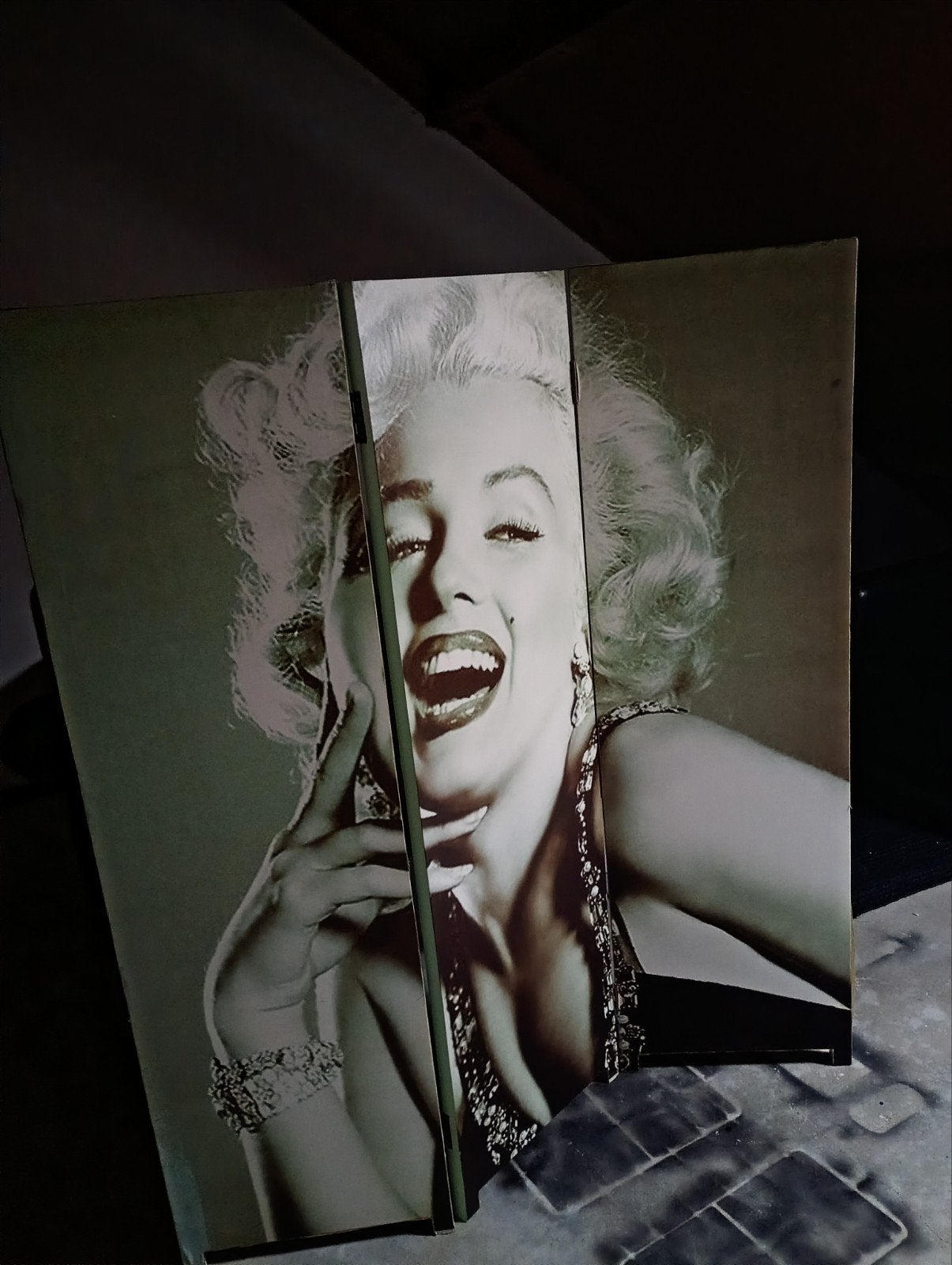 Marylin Monroe kamerscherm, Huis en Inrichting, Ophalen, Zo goed als nieuw
