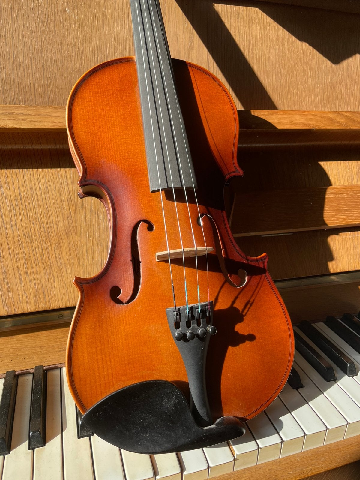 Viool 4/4, Muziek en Instrumenten, Ophalen of Verzenden, Zo goed als nieuw, 4/4-viool