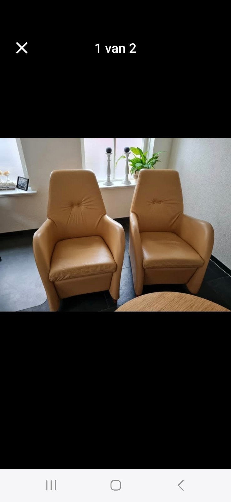 Twee Gealux fauteuils, Ophalen, Gebruikt, Twee, Overige kleuren