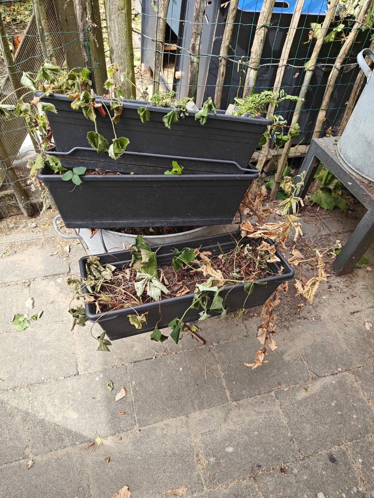 Gratis 3 balkon bakken plantenbakken, Ophalen, Kunststof, Gebruikt, Minder dan 30 cm