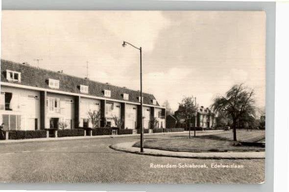 Schiebroek Edelweislaan