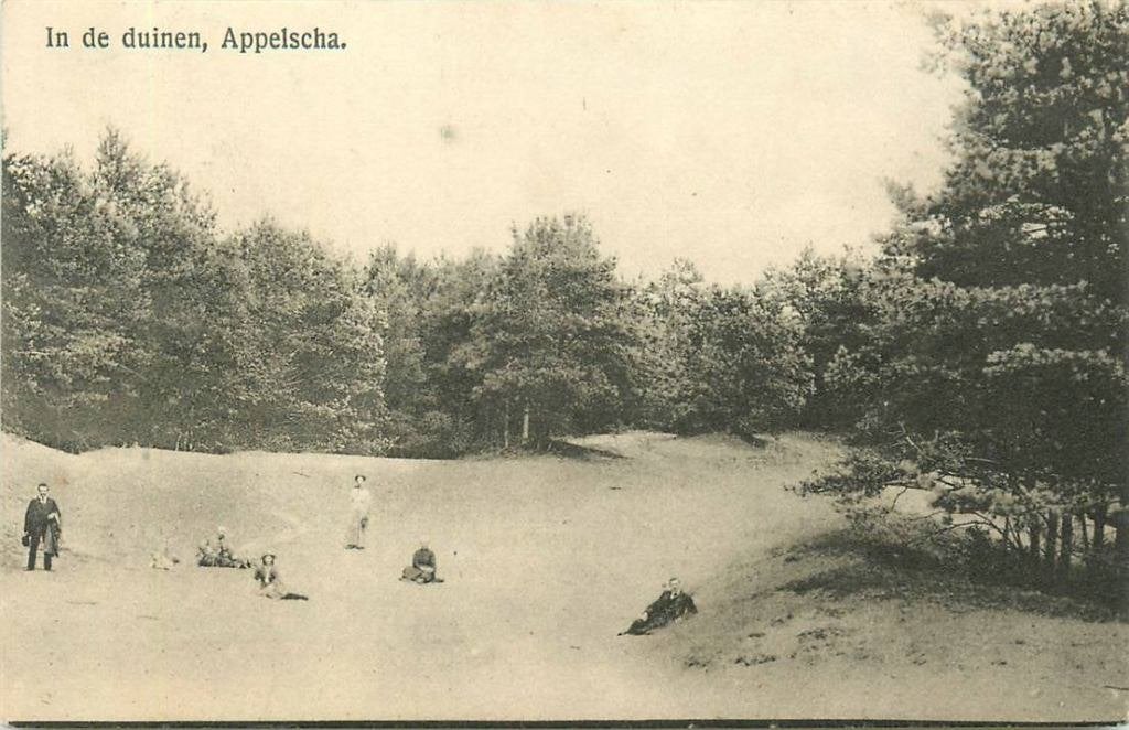 388-571-027 Appelscha In de duinen, Verzenden, Voor 1920, Friesland