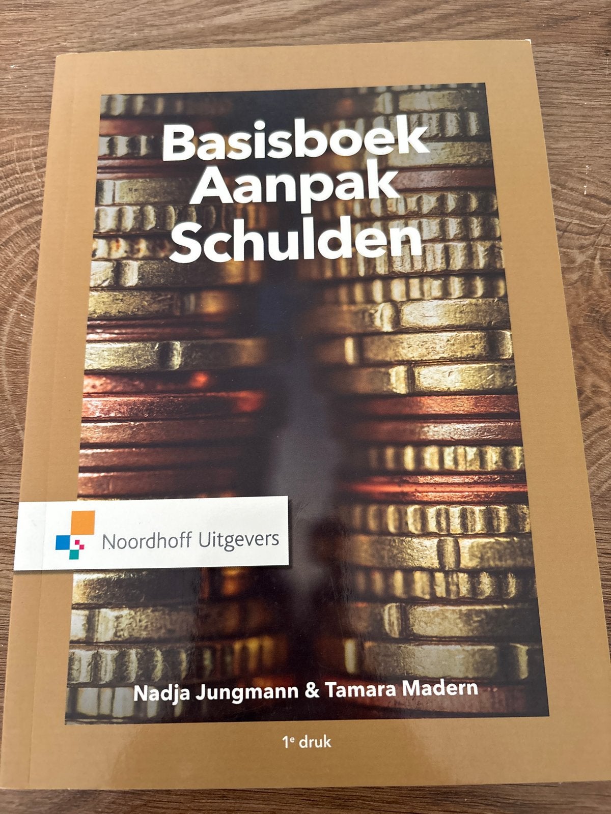 Basisboek Aanpak Schulden - Nadja Jungmann & Tamara Madern, Ophalen of Verzenden, Zo goed als nieuw, Economie en Marketing
