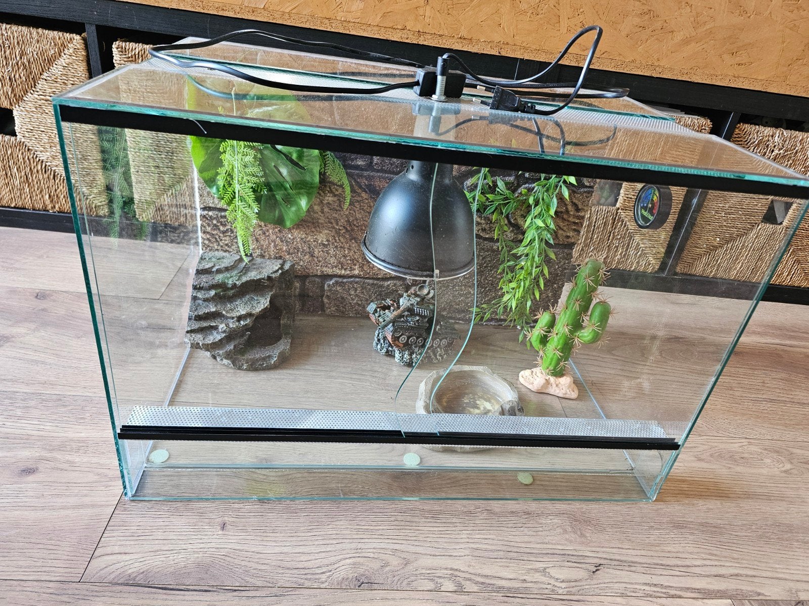 terrarium 40x60x40, Ophalen, Gebruikt, Terrarium of Paludarium