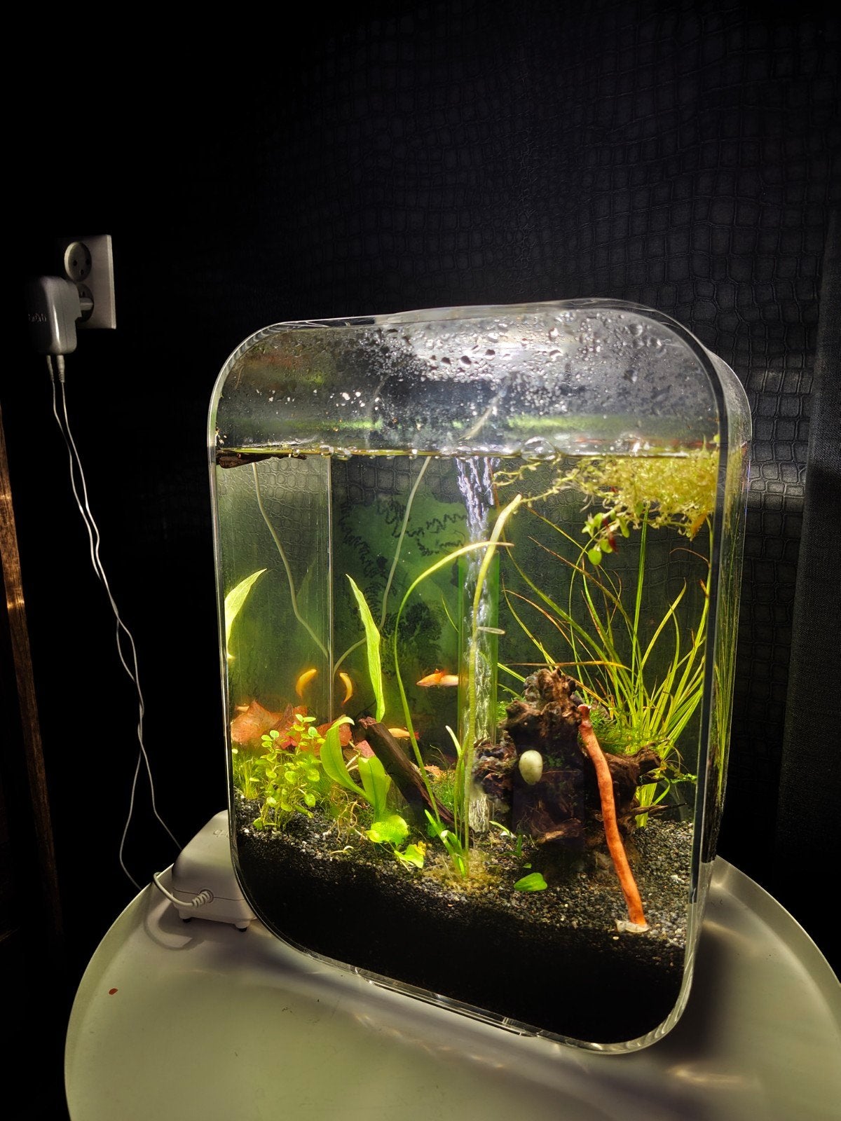 Biorb aquarium 15 liter, Dieren en Toebehoren, Zoetwatervis