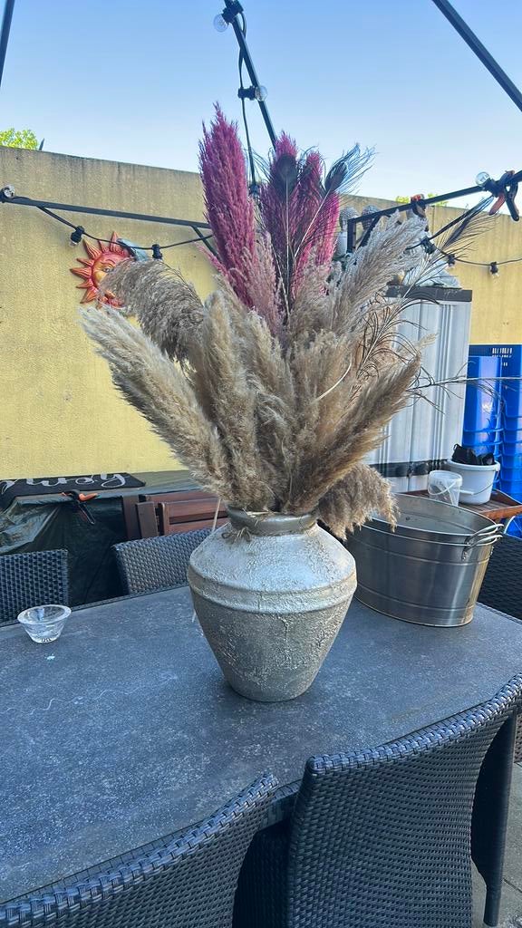 Grote bloempot met pampas pluimen, Ophalen, Zo goed als nieuw