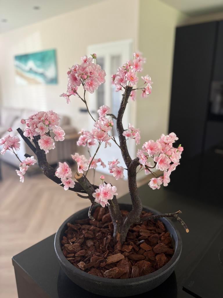 Bloesemboom op echte stam | Zijdenbloesem | Nieuw, Huis en Inrichting, Woonaccessoires | Kunstplanten en Kunstbloemen, Ophalen