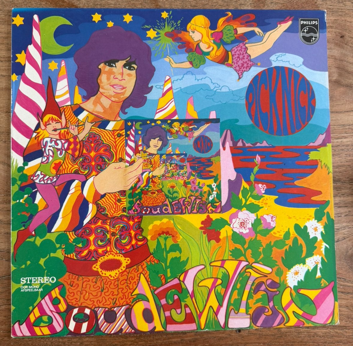 Lp boudewijn de groot - picknick, Cd's en Dvd's, Ophalen of Verzenden, Gebruikt, 12 inch, Levenslied of Smartlap