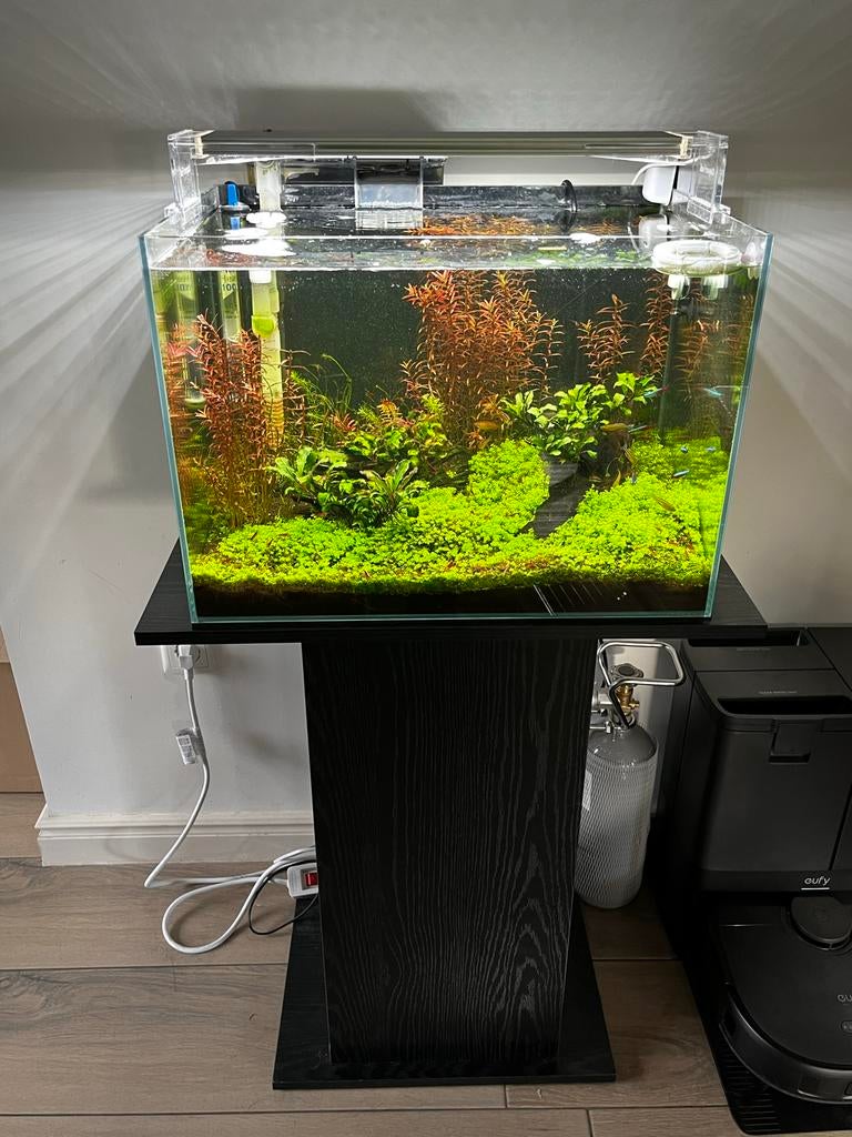 Super mooie complete aquarium aquascaping, Ophalen, Zo goed als nieuw