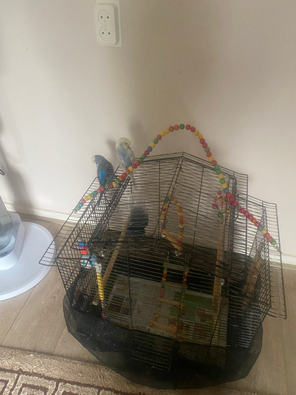 Parkieten, Ophalen of Verzenden, Zo goed als nieuw, Vogelkooi