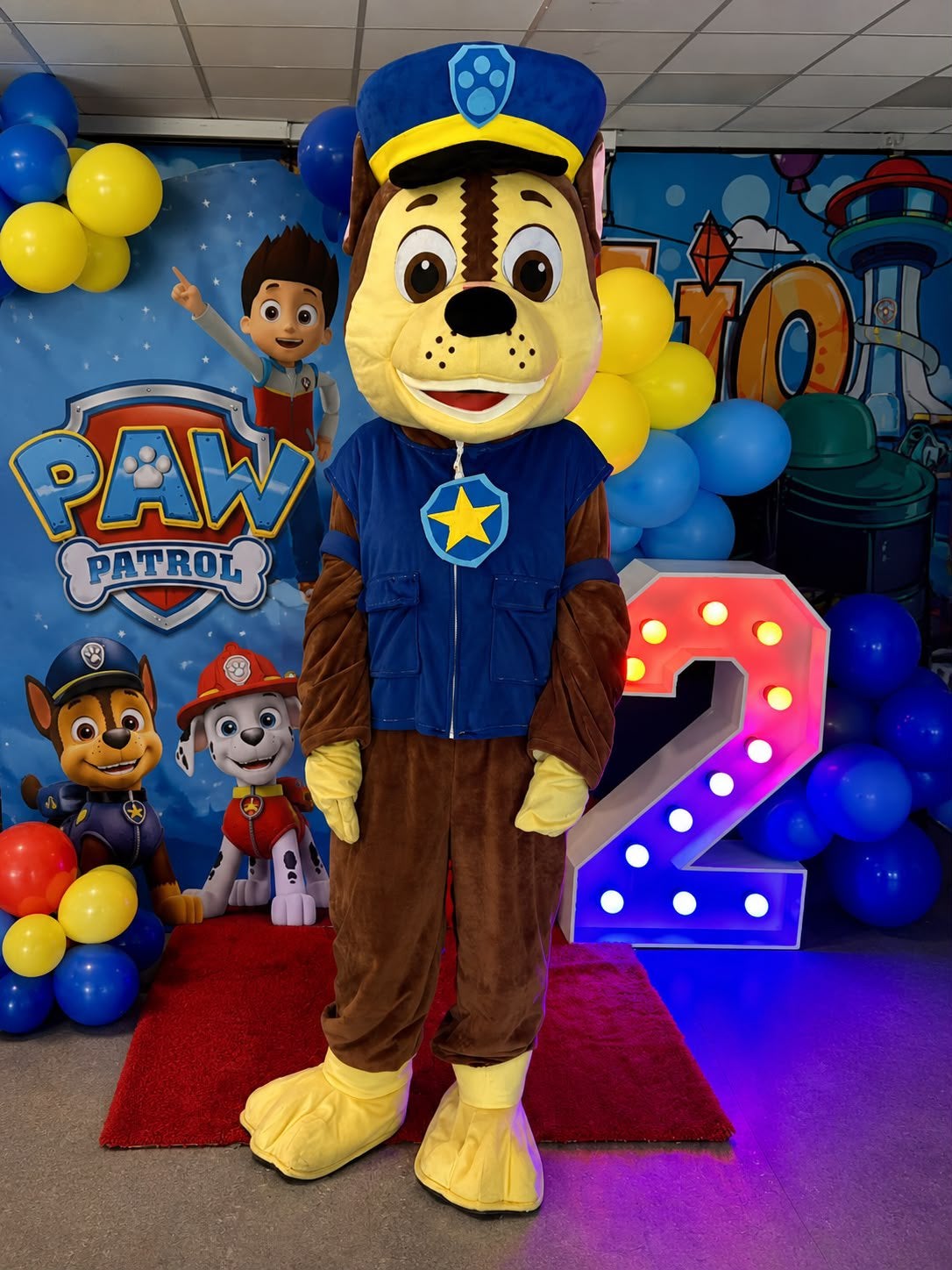 paw patrol mascotte, Ophalen, Zo goed als nieuw