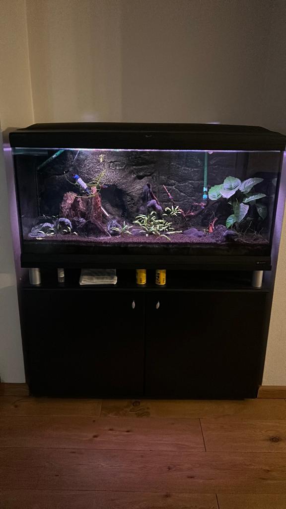 Aquarium cayman 110, Ophalen, Gebruikt, Gevuld zoetwateraquarium, Inclusief vissen