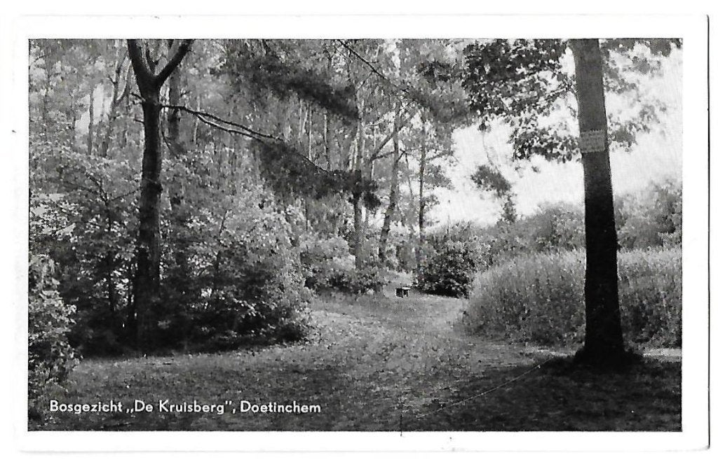 Doetinchem De Kruisberg Gelopen Ansichtkaart (B592, Ophalen of Verzenden, 1960 tot 1980, Gelopen, Gelderland