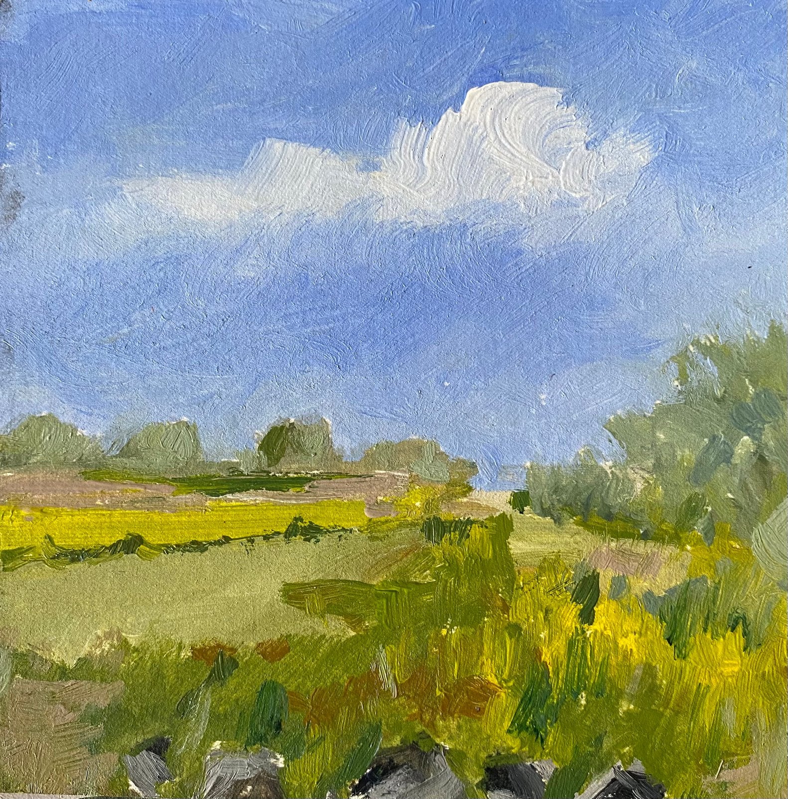Landschap, Ophalen of Verzenden