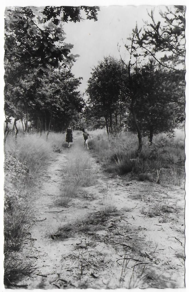 Loon op Zand Ansichtkaart 1964 ( B8150 ), Ophalen of Verzenden, 1960 tot 1980, Gelopen