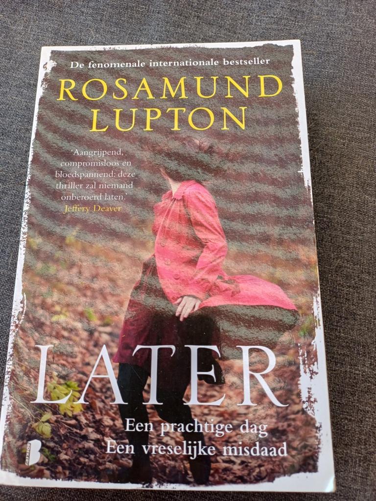 Later - Rosamund Lupton (Thriller), Ophalen of Verzenden, Gelezen, Rosamund Lupton, Europa overig
