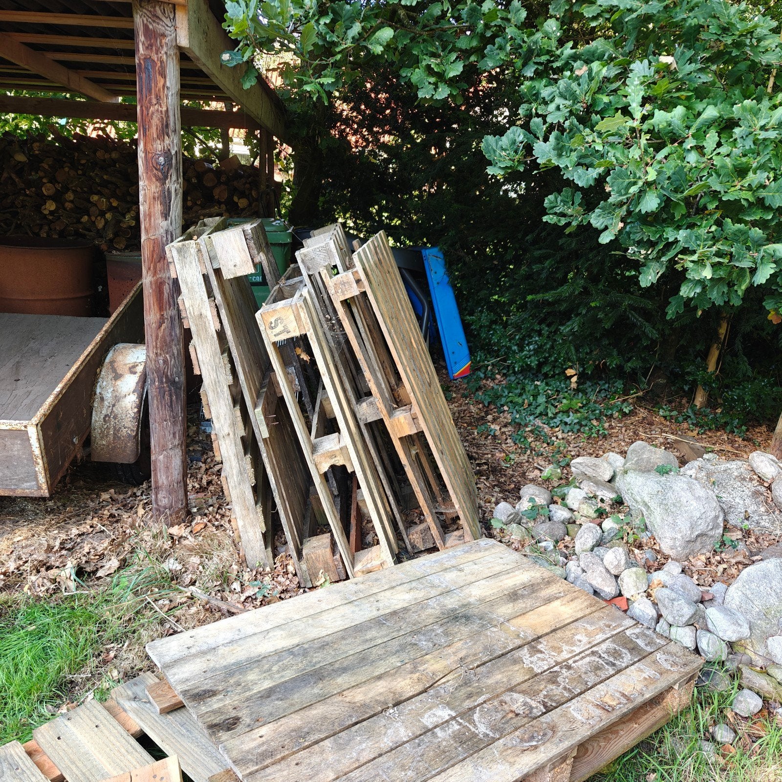 8  pallets / haardhout/ openhaard hout, 6 m³ of meer, Ophalen