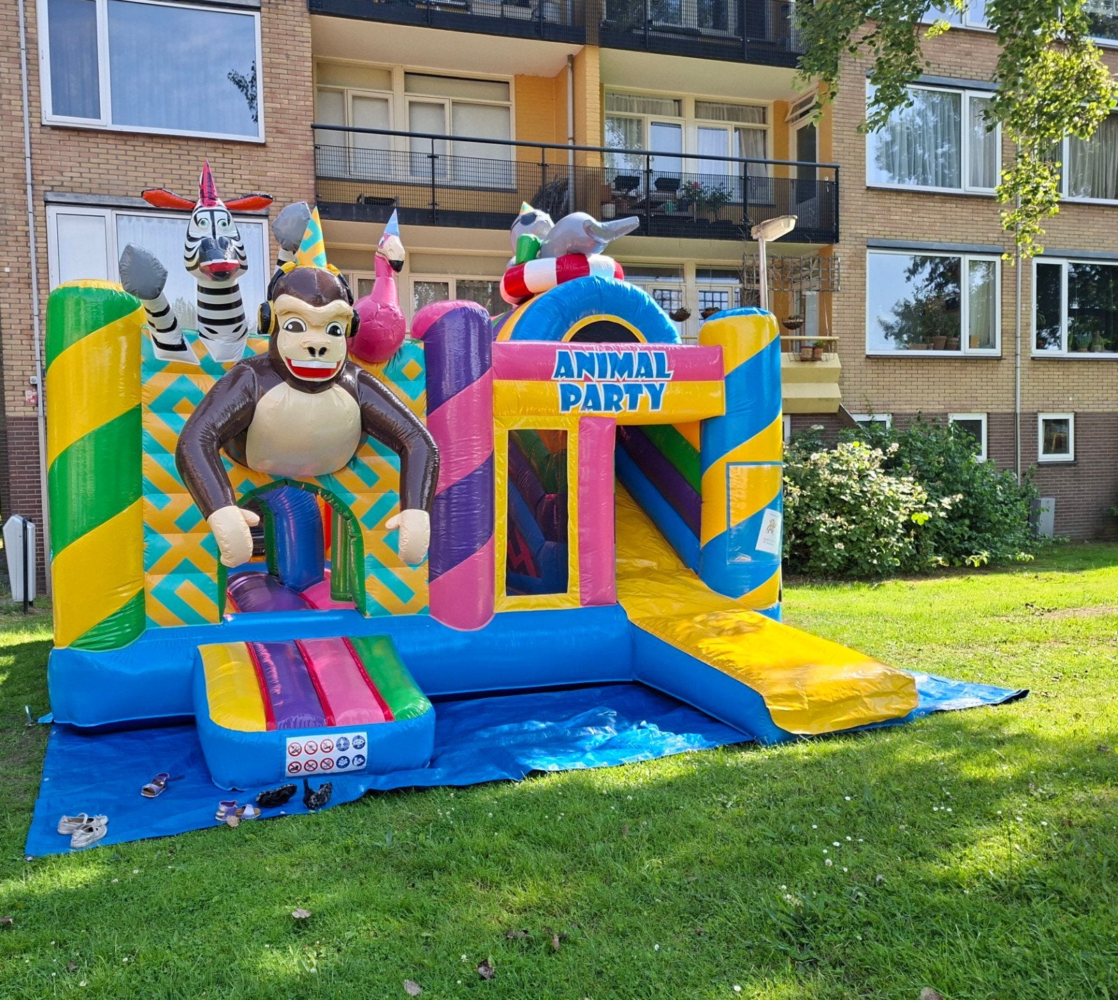 Te huur animal party springkussen, Ophalen of Verzenden, Zo goed als nieuw, Overige