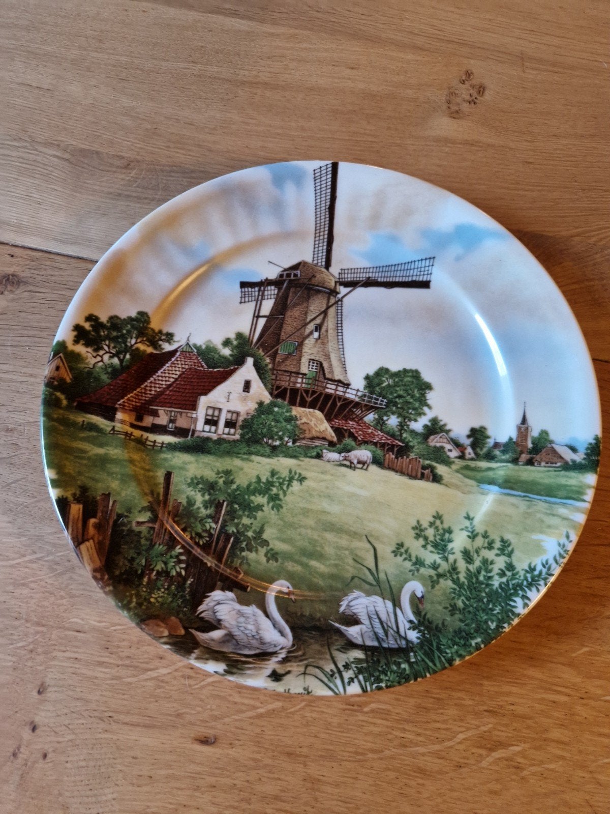 PRACHTIG BORD MET MOLEN TER STEEGE, Ophalen of Verzenden, Zo goed als nieuw, Bord(en), Overige stijlen