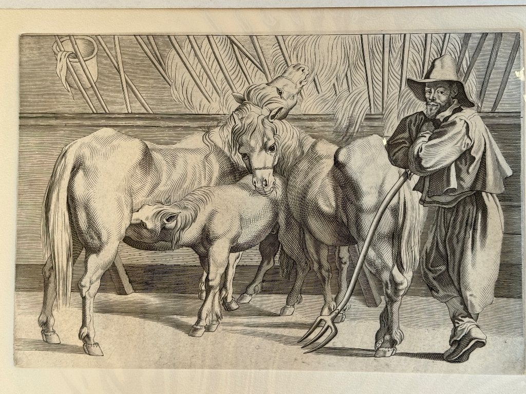 Paarden Naar P.P. Rubens gravure Door Paulus Pontius P0589, Ophalen of Verzenden, Ets, 1900 - 1949