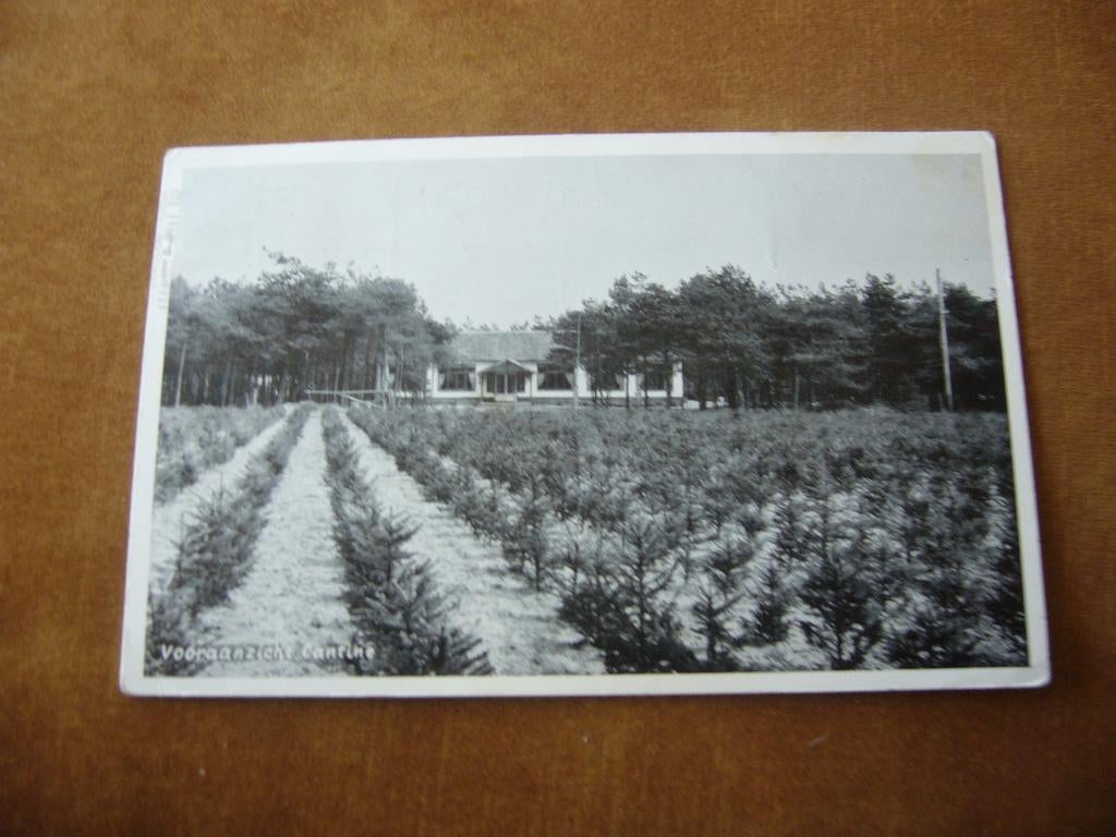 OOSTERHOUT  N.BR.  =  VOORAANZICHT CANTINE, Ophalen of Verzenden, 1940 tot 1960, Gelopen, Noord-Brabant