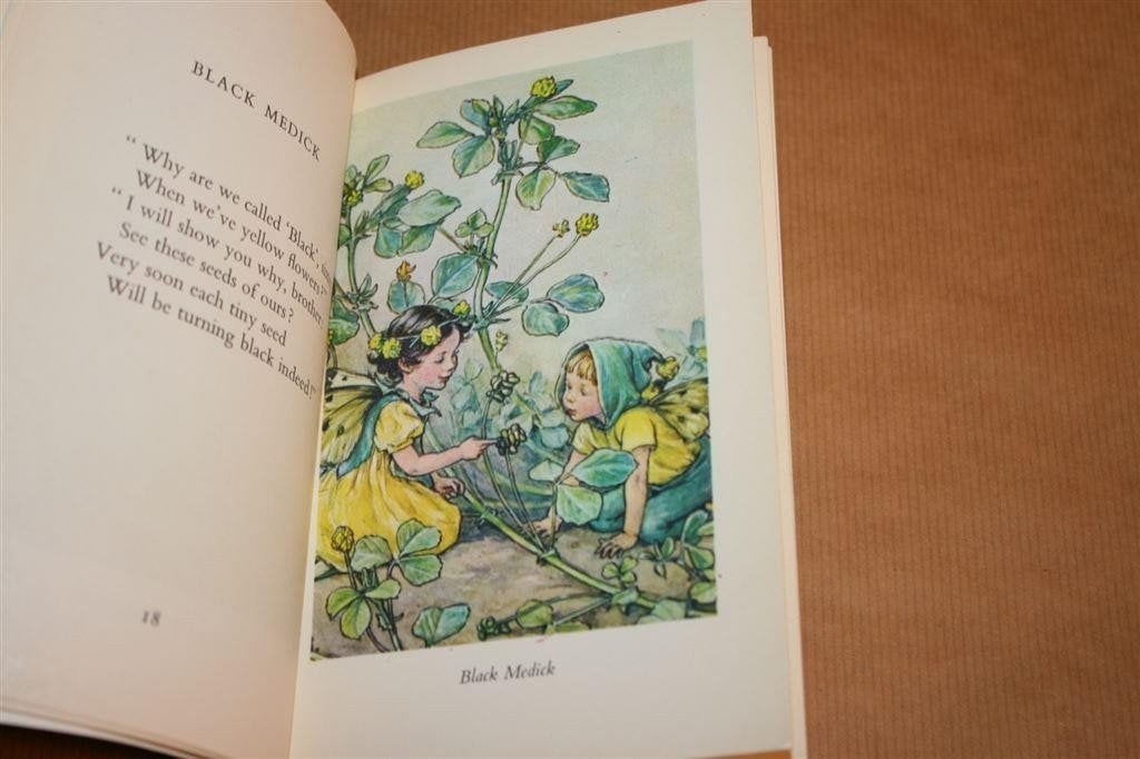 Flower Fairies of the Wayside — Bloemenfeeen van Barker, Ophalen of Verzenden, Gelezen