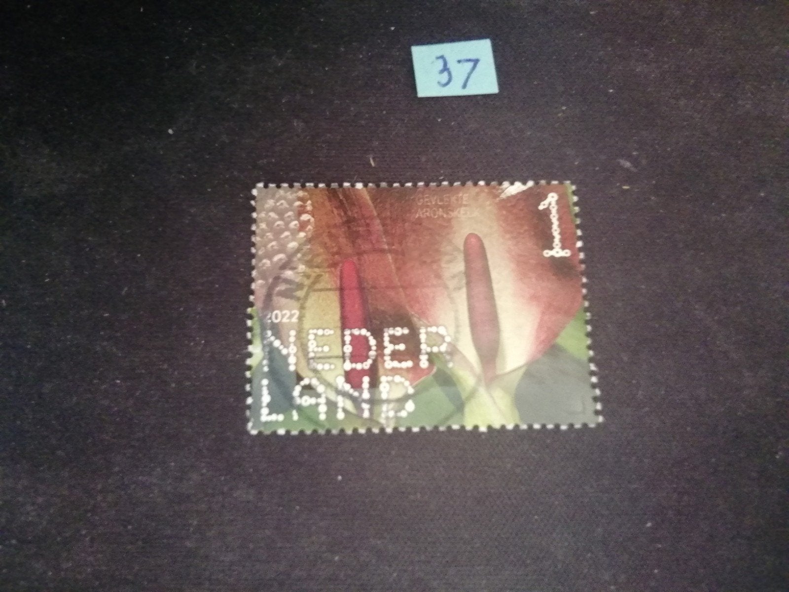 NEDERLAND GEVLEKTE ARONSKELK GESTEMPELD, Ophalen of Verzenden, Na 1940, Gestempeld
