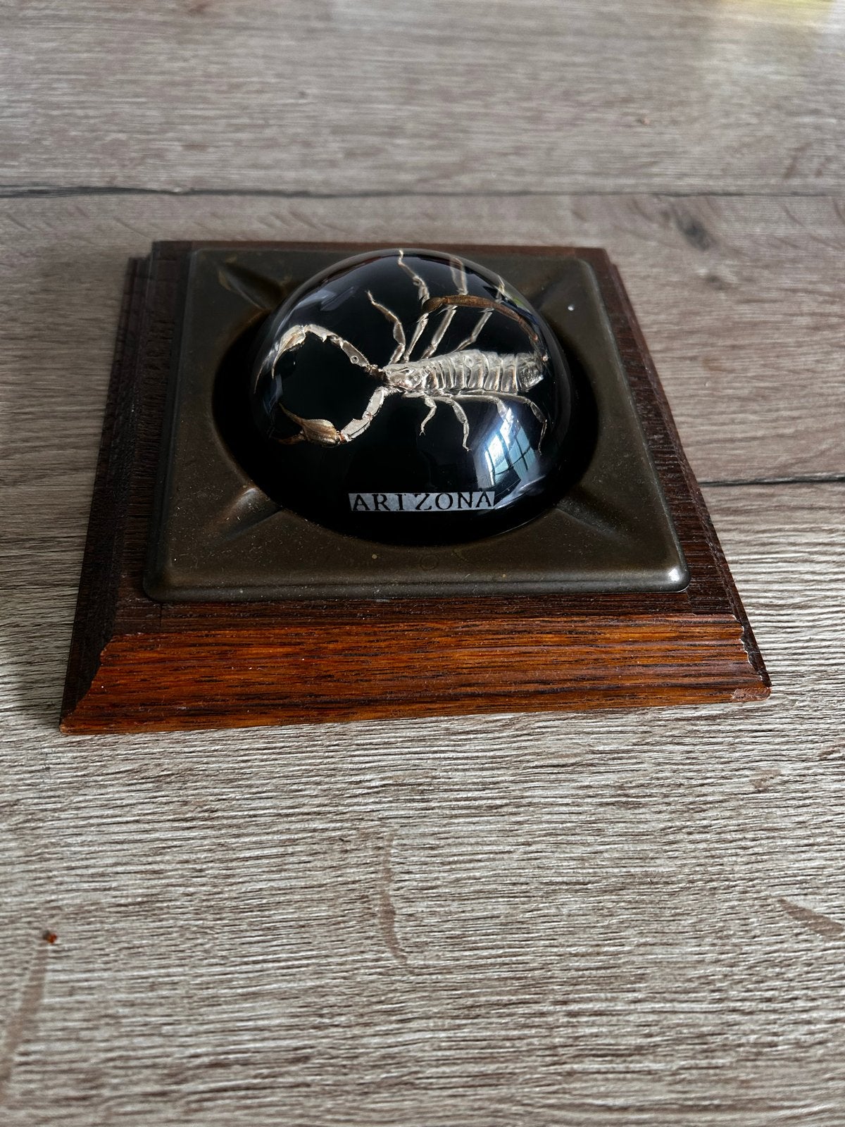 Vintage souvenir met echte schorpioen - ARIZONA, Ophalen of Verzenden, Gebruikt