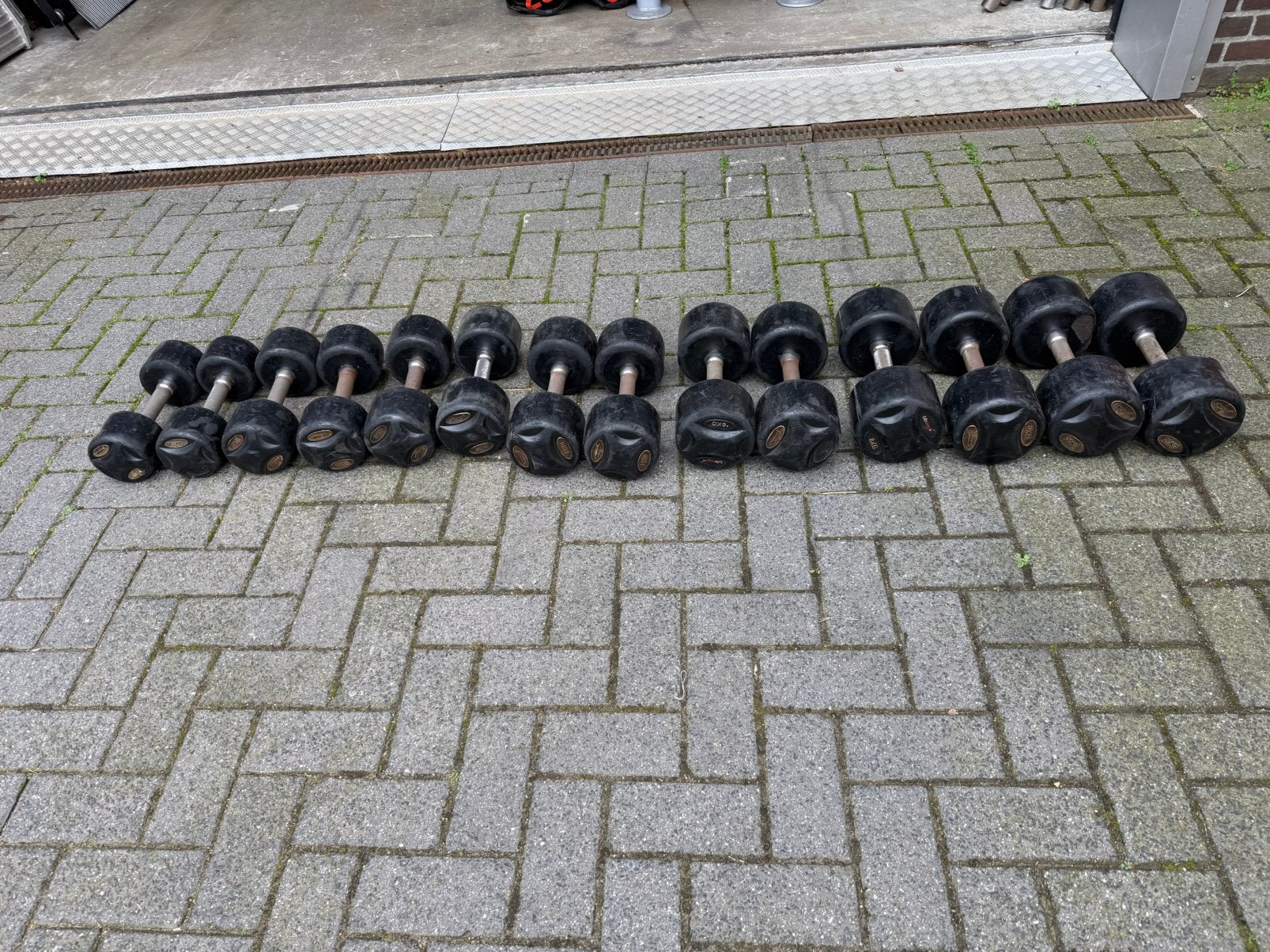 Lifemaxx vaste Dumbells 9kg t/m 20kg, Ophalen, Gebruikt, Dumbbell