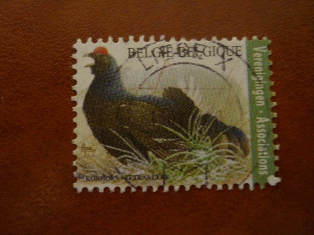 Belgie Verenigingen Buzin Korhoen gestempeld, Ophalen of Verzenden, Gestempeld