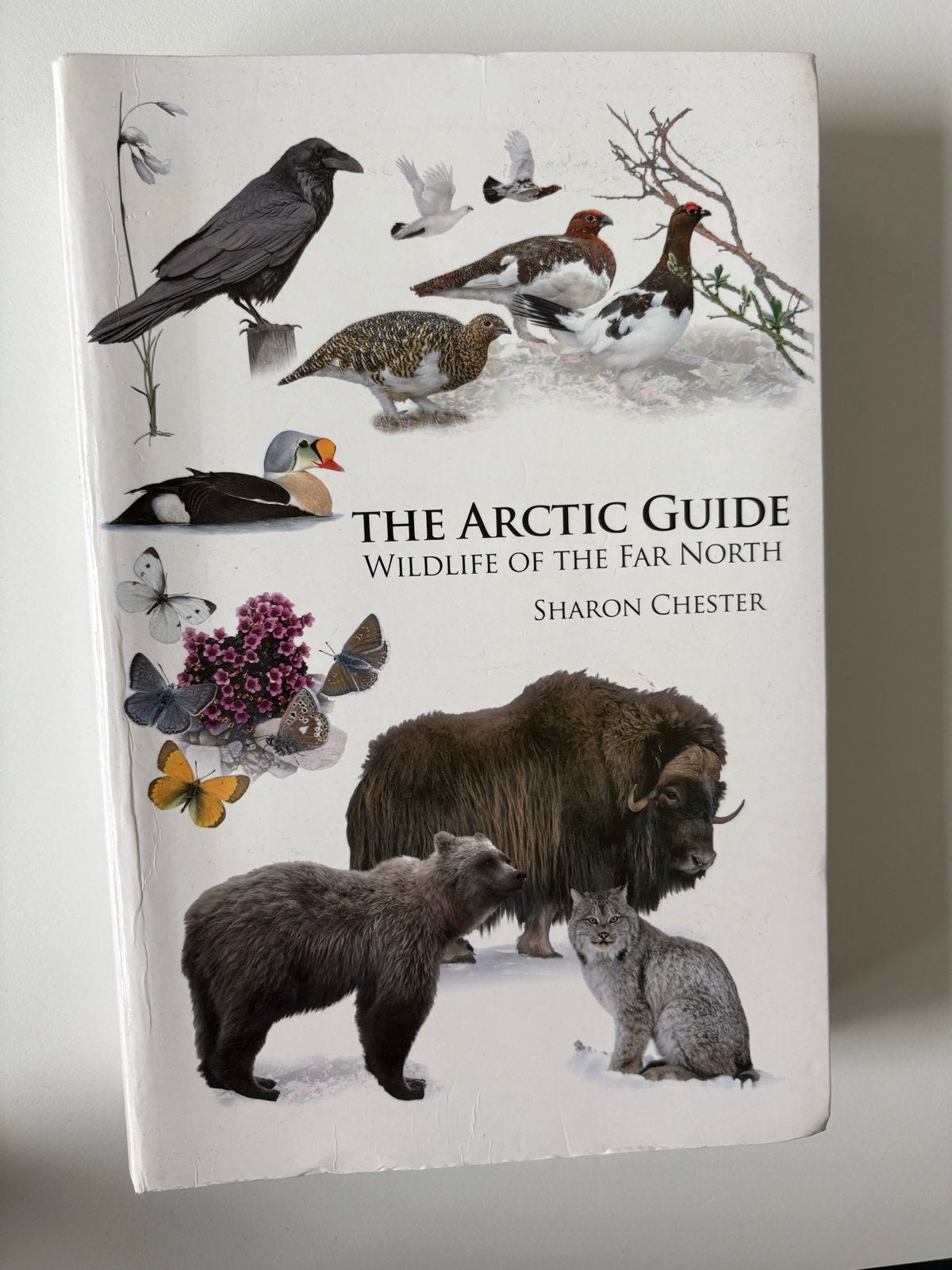 The Arctic Guide: Wildlife of the Far North - Sharon Chester, Ophalen of Verzenden, Gelezen, Natuur algemeen