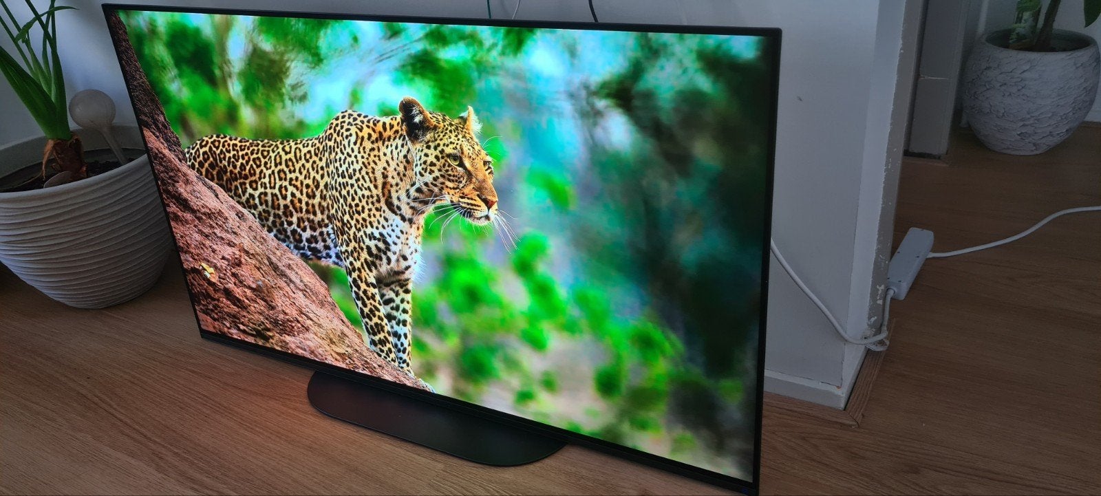 Foto 8 van Sony Bravia XR-48A90K – 48″ 4K OLED Google TV – 120Hz