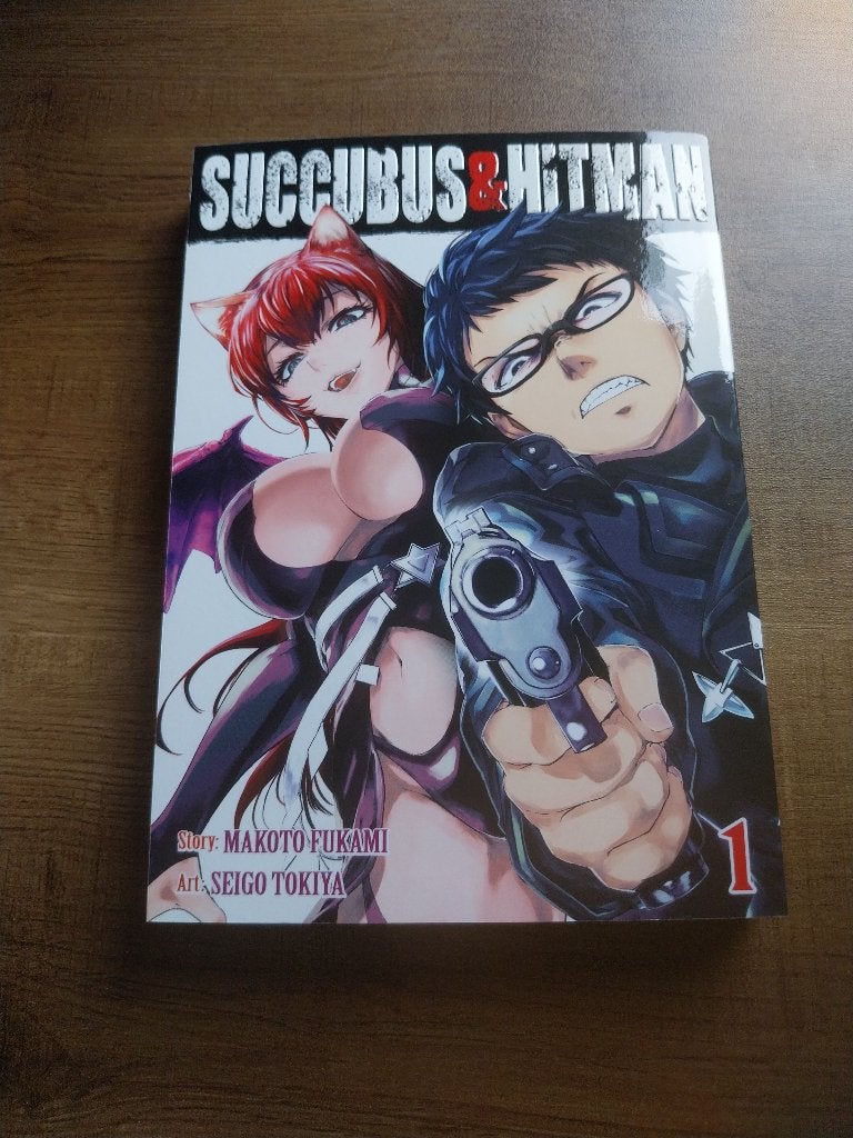 Succubus & Hitman vol. 1, Eén stripboek, Ophalen, Zo goed als nieuw