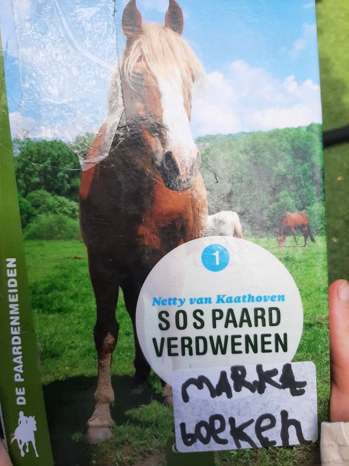 Netty van Kaathoven - S.O.S. paard verdwenen, Boeken, Ophalen of Verzenden, Zo goed als nieuw, Netty van Kaathoven