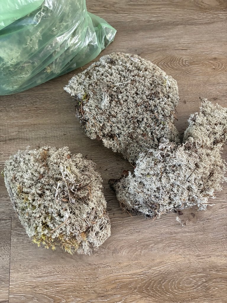 Mos Zak Vol ,Eland Mos, Ophalen of Verzenden, Nieuw