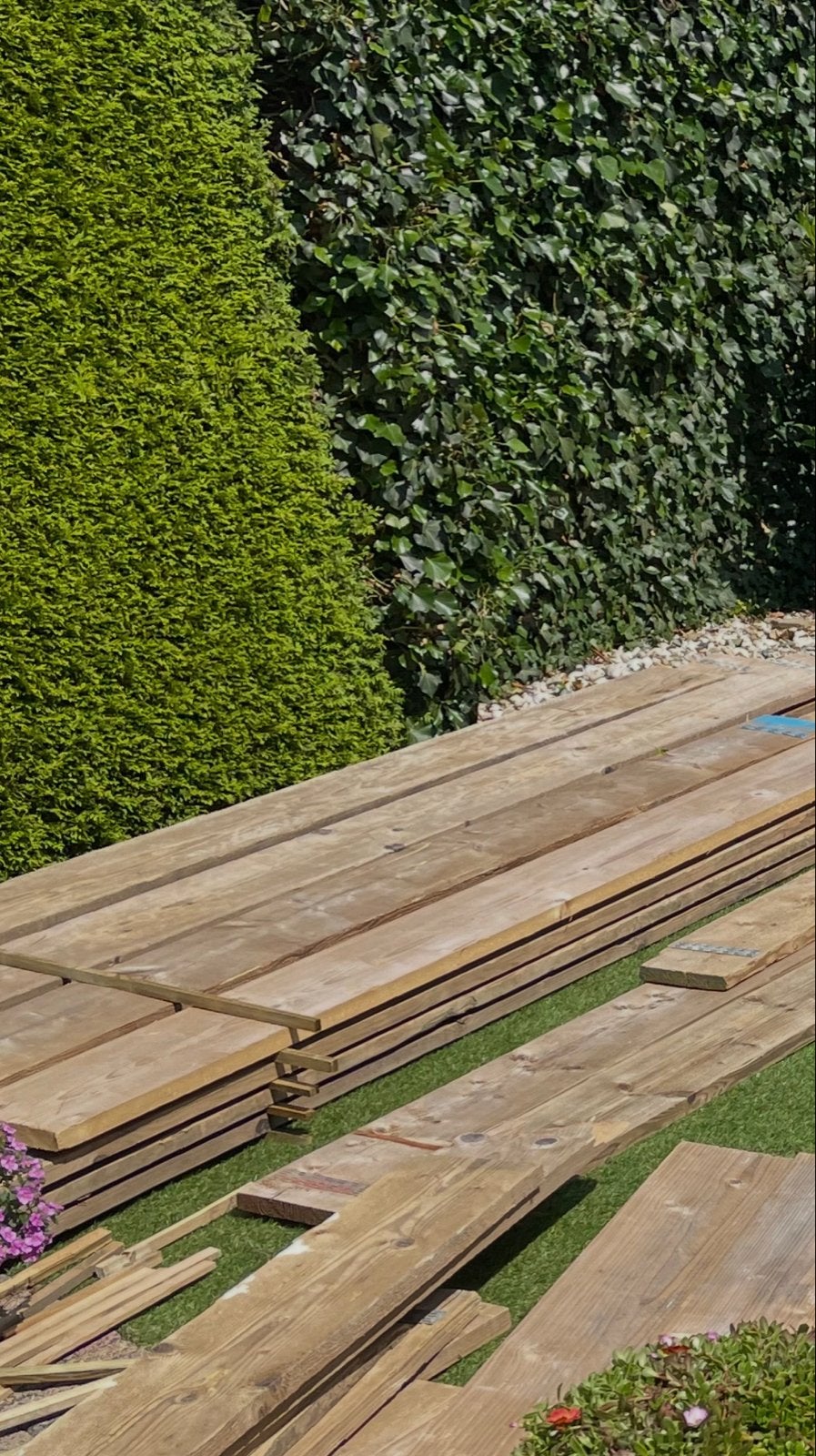 €20,-   +/-10 Steigerplanken van 3 meter - Snel afhalen!, Doe-het-zelf en Verbouw, Hout en Planken, Ophalen, Gebruikt, 25 tot 50 mm