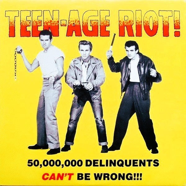 teen age riot-50,000,000 delinquents cant be wrong/v/a-rocka, LP, Gebruikt, Verzenden, 12 inch