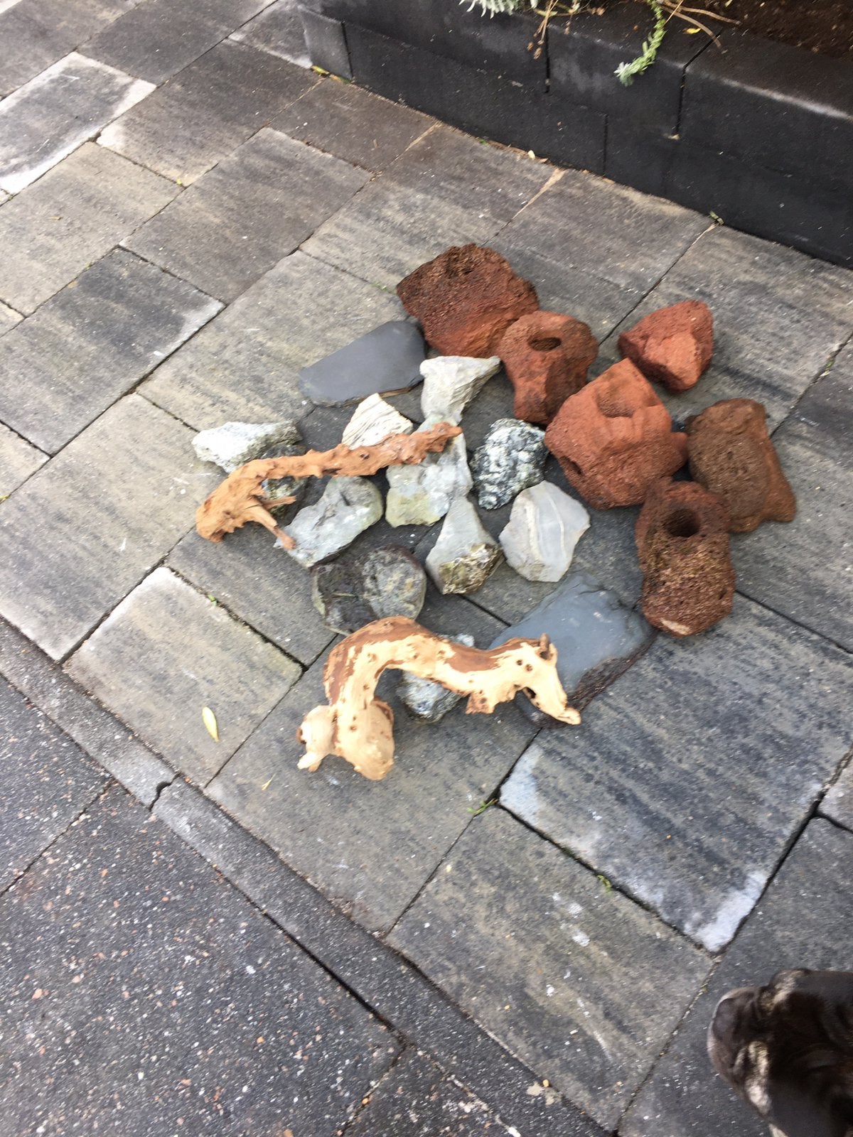 Te koop decoratie materiaal, Dieren en Toebehoren, Ophalen, Plant(en), Steen of Hout