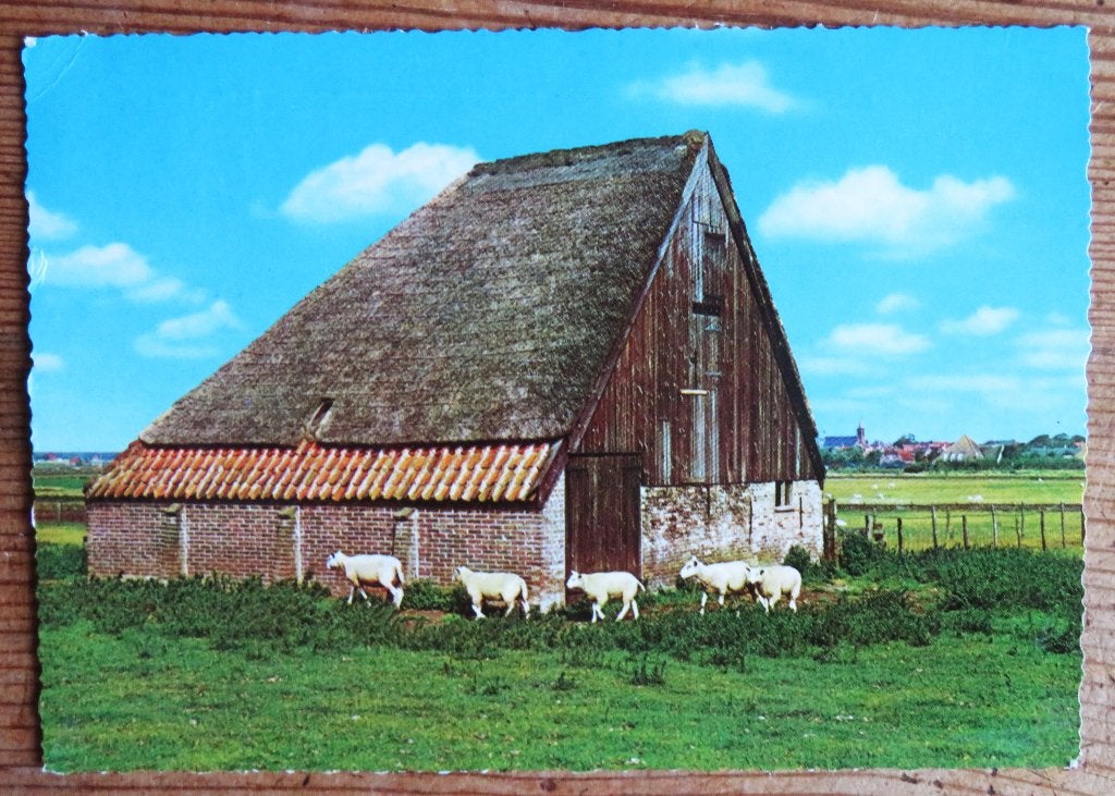 Texel: Schapenboet / Schaapskooi met schapen, Ophalen of Verzenden, Voor 1920, Noord-Brabant