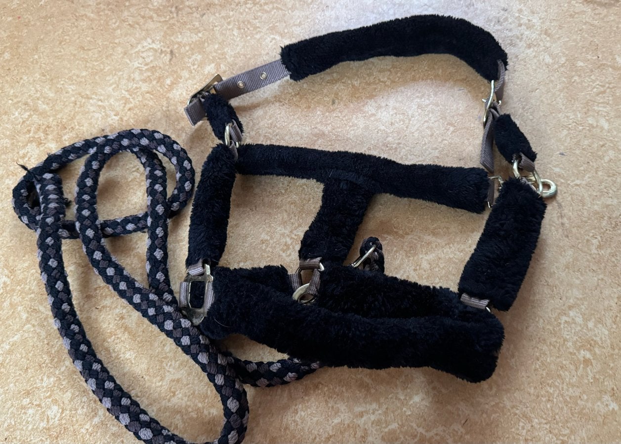 Halster bont zwart beige cob, Dieren en Toebehoren, Ophalen of Verzenden, Zo goed als nieuw