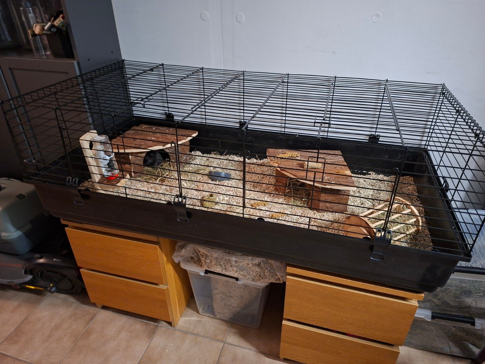 Cavia / konijn / knaagdieren hok- kooi. NIEUW!, Dieren en Toebehoren, Knaagdieren en Konijnen | Hokken en Kooien, 110 cm of meer