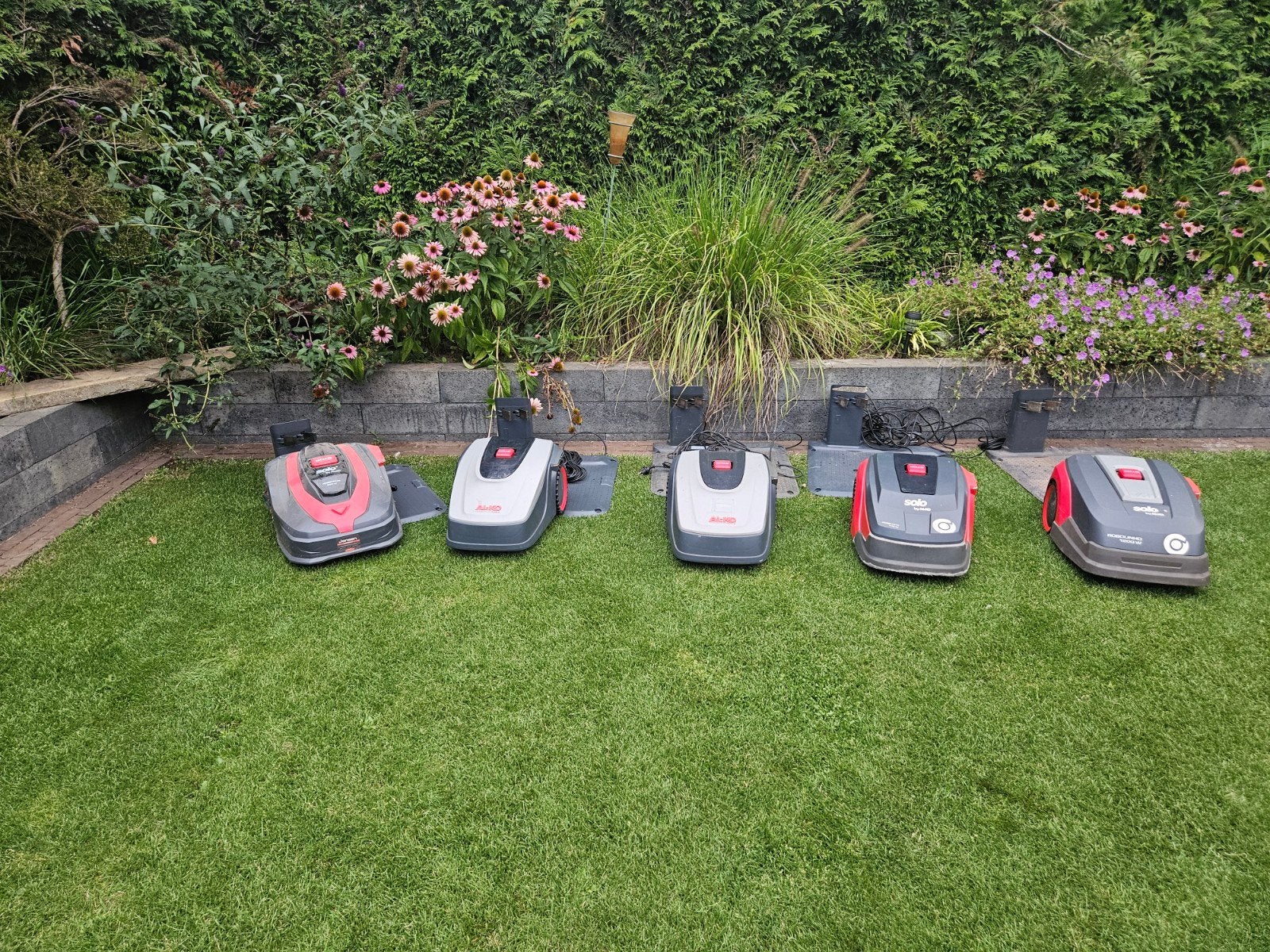 Alko Robolinho robotmaaiers, Ophalen, Bestuurbaar via app, Zo goed als nieuw, 20 tot 25 cm