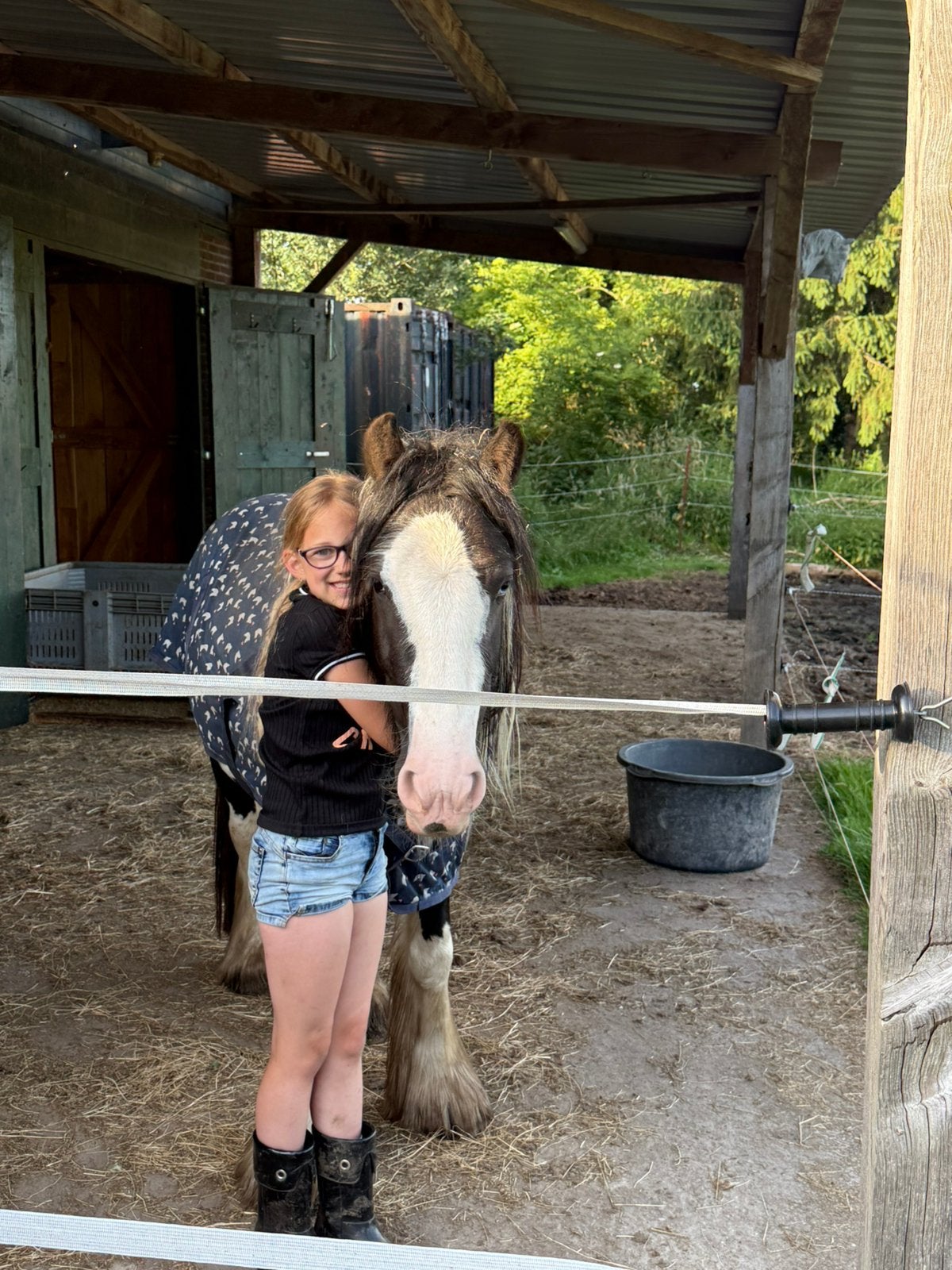 Verzorgster gezocht, Dieren en Toebehoren, 2 of 3 paarden of pony's