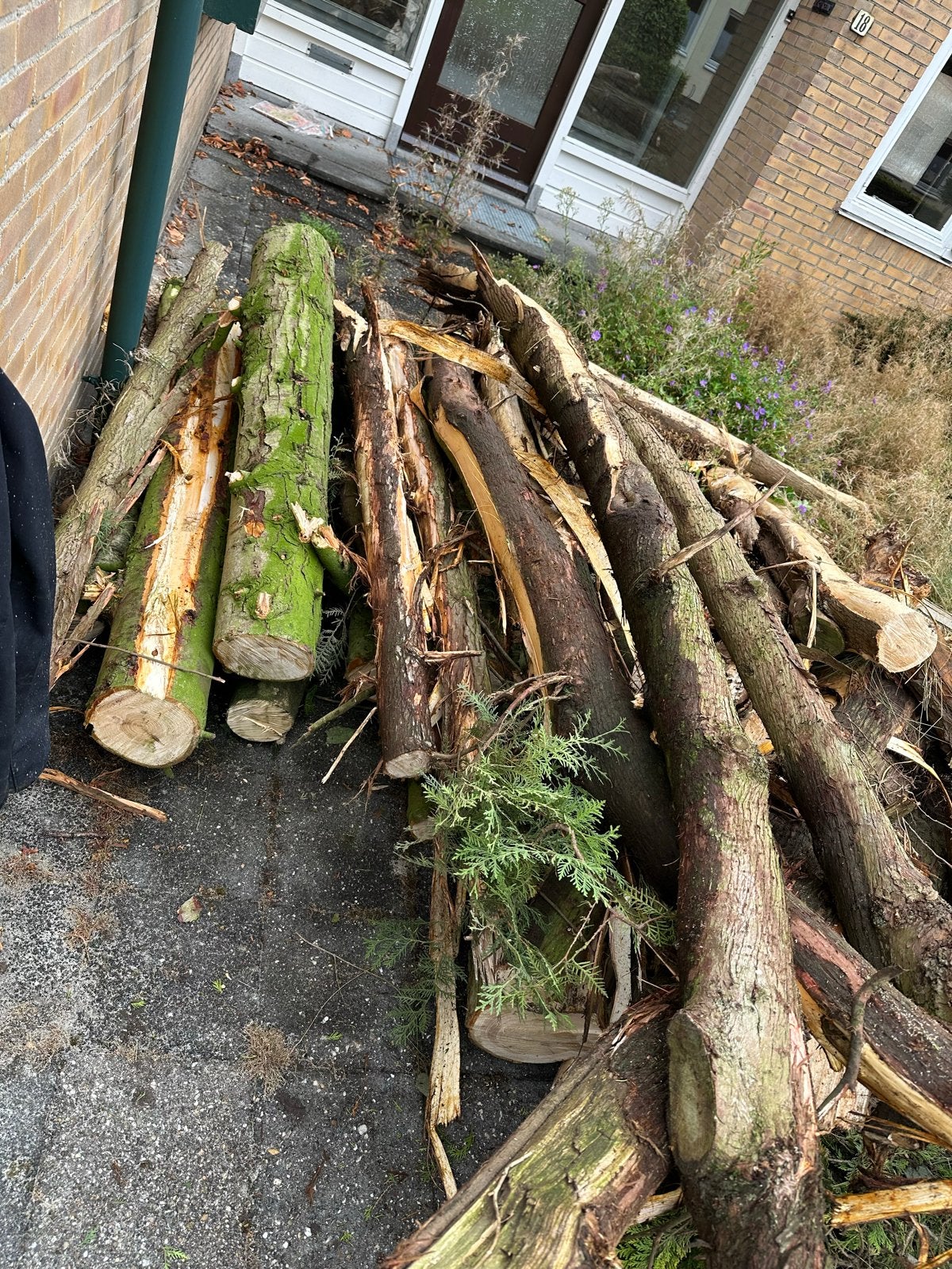 Diverse houtstammen voor brandhout haardhout, Tuin en Terras, Haardhout, 6 m³ of meer, Ophalen, Overige houtsoorten, Stammen