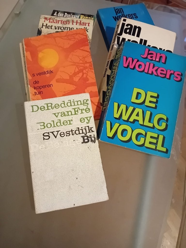 Nederlandse klassiekers – Reve, Wolkers, Vestdijk, Claus,, Boeken, Ophalen of Verzenden, Gelezen